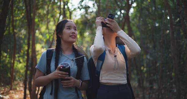 istock Two Young asian backpacker women walking in trail with digital camera in forest 1951308540