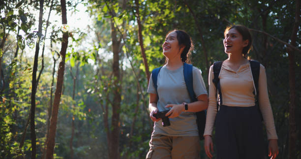 istock Two Young asian backpacker women walking in trail with digital camera in forest 1951309594