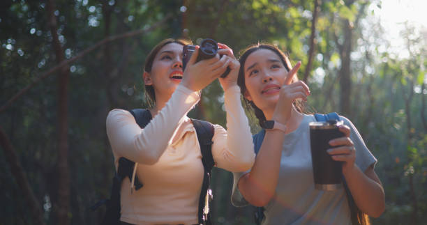 istock Two Young asian backpacker women walking in trail with digital camera in forest 1951310119