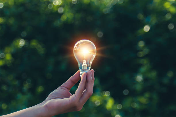 istock Hand holding a light bulb, green leaf background, natural energy and environment concept. 1951384559