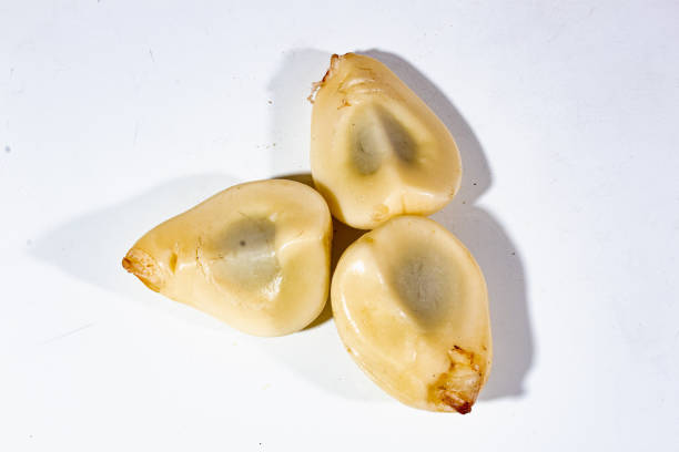 istock Snake fruits 1951391913