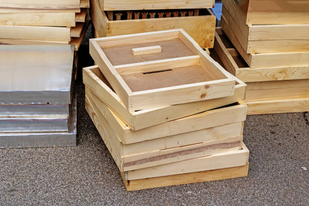 istock Wooden crates bee industry 1951456800