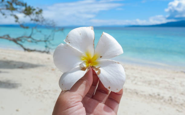 istock Kulur Beach in Saparua Island, Central Maluku 1951515527