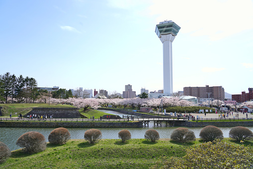 Goryokaku Tower in spring season with Cherry blossom blooming at Hakodate City, Hokkaido, Japan, TOYAMA, JAPAN - April 21, 2023.