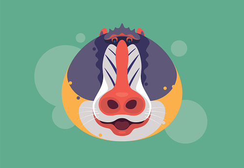vector illustration of happy mandrill head icon