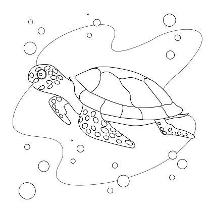 Turtle black line vector doodle illustration. Cute cartoon sea turtle underwater isolated on a white background. Marine animals. Cokoring page.