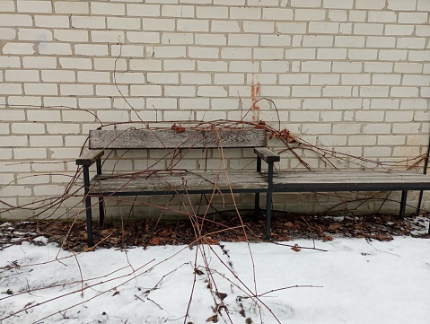 An old wooden bench near a white brick wall with a grape vine. Winter with snow in the yard of the house.