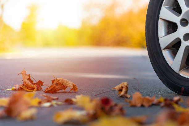 istock Car on asphalt road on autumn sunny day at forest or park.Selective focus,copy space.Blurred background. 1951718348