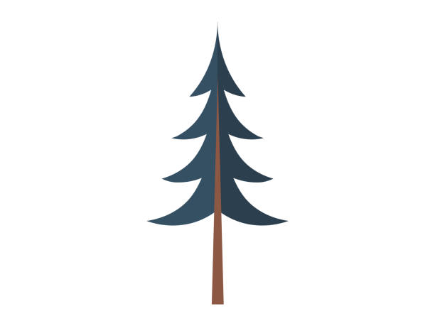 istock Tree. Environmental conservation efforts focus on preserving natural habitat trees and other flora 1951725651