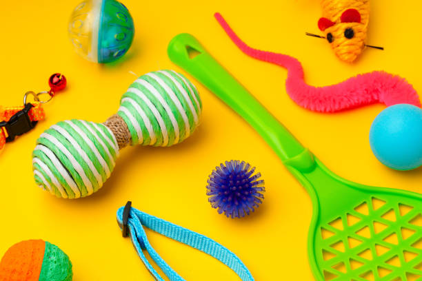 istock Pet toys on yellow background studio shot 1951801155