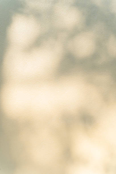 istock Leaf shadow and light on wall blur background. Nature tropical leaves plant and tree branch shade with sunlight on light brown wall texture. 1951814856