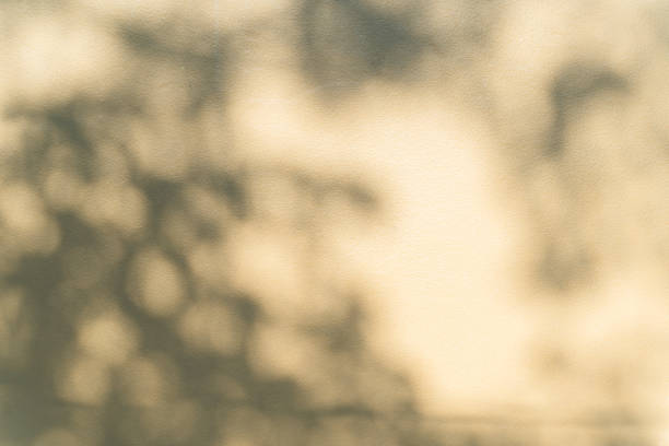 istock Leaf shadow and light on wall blur background. Nature tropical leaves plant and tree branch shade with sunlight on light brown wall texture. 1951818190