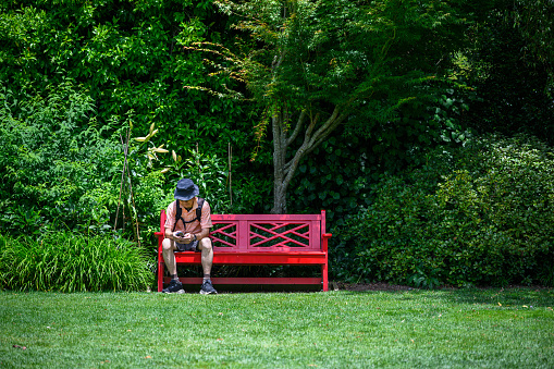 Man sitting on the red bench, reading his smartphone. Hamilton. New Zealand.