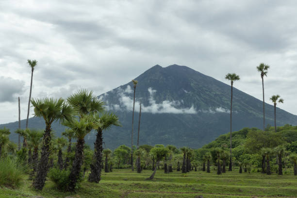 istock Towering  mount Agung volcano  and farmrs' fields and palm trees in Bali 1951835732