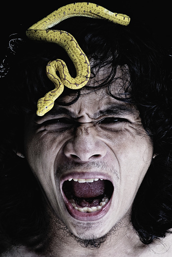 head shoot of an asian man with curly long hair screaming with snake on top