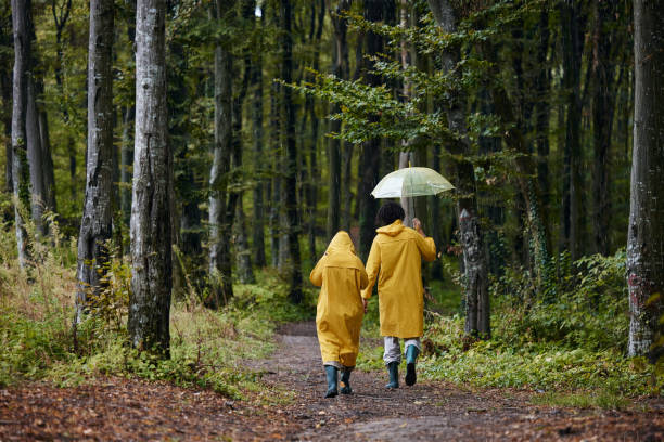 back view of a couple in raincoats walking on rain through the woods. - candid women african descent umbrella foto e immagini stock