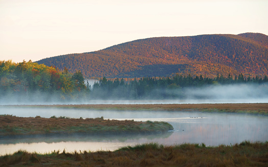 landscape of morning river with fog and forest