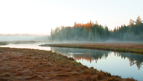 landscape of morning sunlight on top of forest near river with fog
