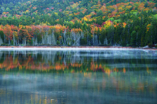 Foggy morning at Hidden Lake in Autumn, Delaware Water Gap National Recreation Area, Pennsylvania, USA