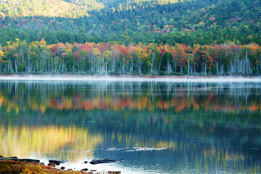 landscape of morning lake with autumn forest and fog