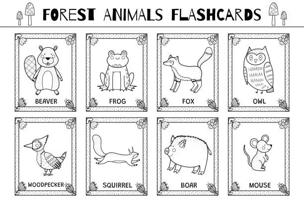 Vector illustration of Forest animals black and white flashcards collection for kids. Flash cards set with cute woodland characters