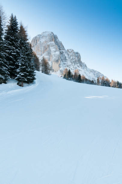 A snowy ski piste with trees and a mountain in the background stock photo