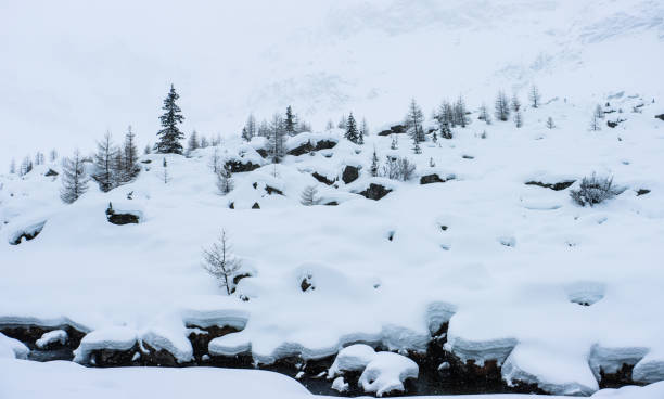 Panorama of Trentino Alto Adige with trees and snow (Italy). Winter season.