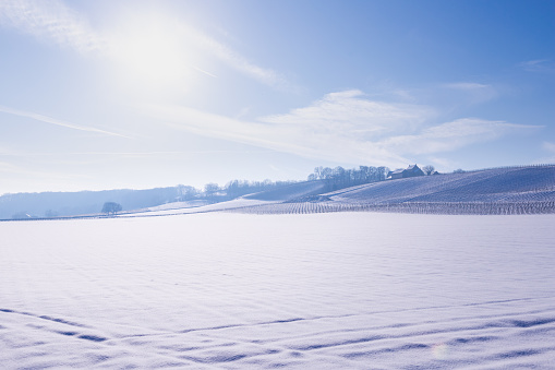 The Vineyards of the Apostelhoeve and the winery in the rolling hill landscape near Maastricht covered with fresh snow, creating an idyllic atmosphere of pure winter with a deep blue sky.