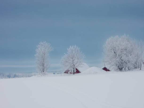 雪に覆われたスカイラインヒル ストックフォト