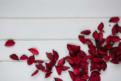 Red rose petals on wood
