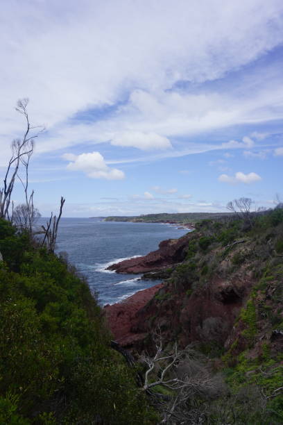 istock Landscape in Beowa national park 1951973429