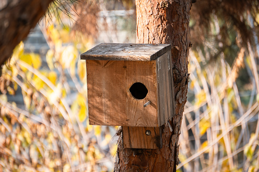 A photo of a bird's house on a tree trunk.