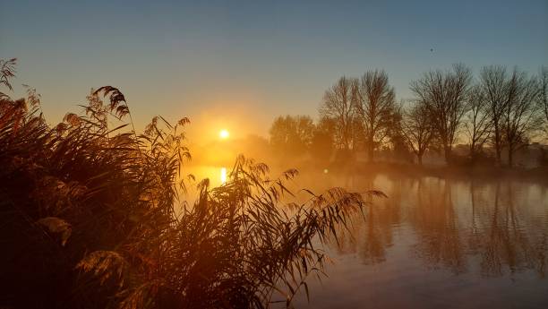river at sunrise - herfst-nederland stockfoto's en -beelden