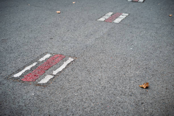 istock Brown autumn leaves on asphalt. 1952051263