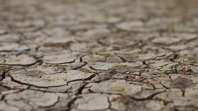Lake-move-or-dry-river-forming-cracked-clay-in-the-ground