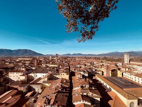 Vista di Lucca da un lato della Torre Guinigi