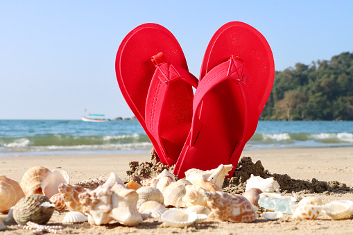 Stock photo showing close-up view of a pile of seashells in front of a pair of red flip flops standing up, forming a heart shape, in the sand on a sunny, golden beach with sea at low tide in the background. Romantic holiday and honeymoon concept.