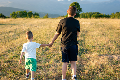 Rear view of a boy and his young brother are holding hands while walking in nature on a summer day.