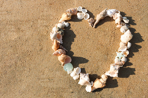 Stock photo showing heart shape of seashells on sunny, golden beach sand. Romantic holiday and honeymoon concept.