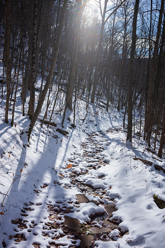 The Bouchoux Trail near Long Eddy NY is a 5.5-mile hiking path that hugs the Delaware River, photographed under a few inches of snow during the winter.