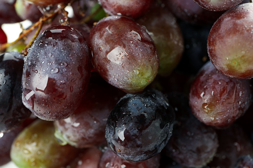 Dark ripe grape with water drops, close up