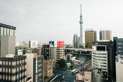 Photo of Kawazu Sakura and Tokyo Sky Tree under the blue sky