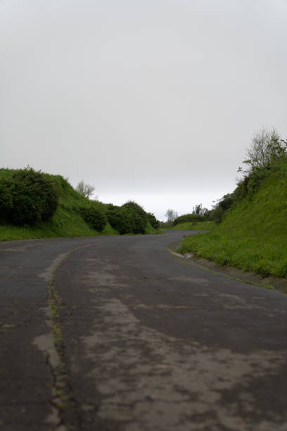 istock Vertical of a curving road lined with greenery on a cloudy day 1952113558
