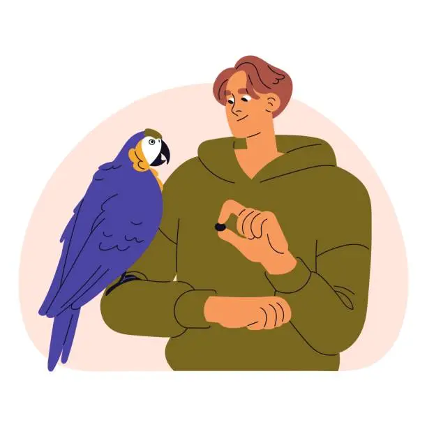 Vector illustration of Macaw sits on his owner hand. Young man feeds ara, plays with pet bird in petting zoo. Guy training talking parrot. Domestic feathered animal. Flat isolated vector illustration on white background