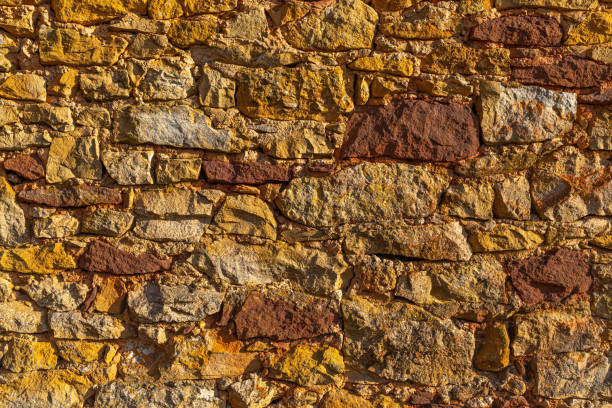 Patterns of yellow and ochre on a sandstone wall