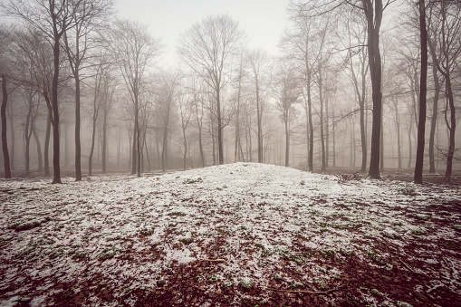 Ancient burial mound in the beech tree forest during a foggy winter morning with some snow on the forest floor of the Speulderbos in the Veluwe nature reserve. The forest ground is covered with brown fallen leaves and the path is disappearing in the distance. The fog is giving the forest a desolate and moody atmosphere.