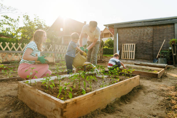 istock Watering our organic vegetables 1952132154