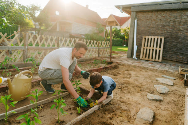 istock With dad in our organic garden 1952134782