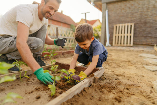 istock With dad in our organic garden 1952134784