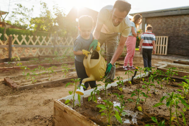 istock Watering our organic vegetables 1952134786